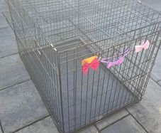 Dog Crate