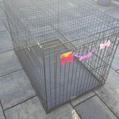 Dog Crate