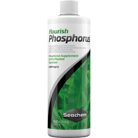 Seachem Flourish Phosphorus | 250ml