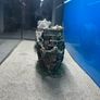 Fluval Tank + Fish Image 5