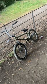 Sunday forecaster (Brett Silvia edition) custom bmx