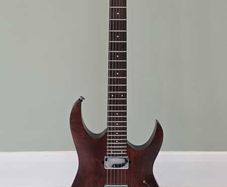 Ibanez Prestige RGA121 with Seymour Duncan Nazgul & Sentient Pickups