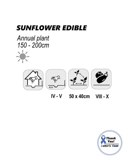 (S) Edible Sunflower seeds Large 10g pack