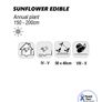 (S) Edible Sunflower seeds Large 10g pack Image 2