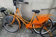 Dutch style bike