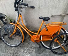 Dutch style bike
