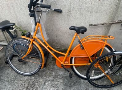 Dutch style bike