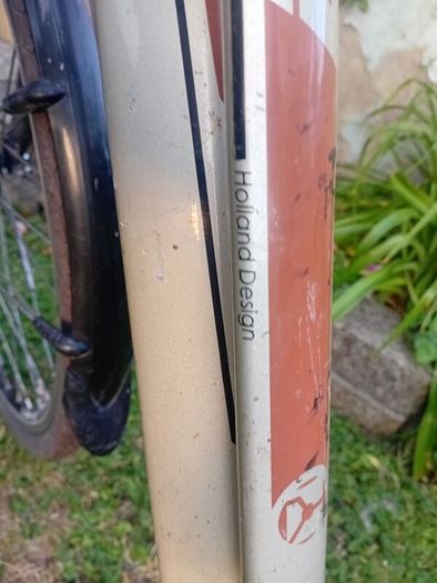 battery bike