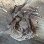 Bmw 3 Series E90 05-12 Front Driver Side Wheel Hub Image 2