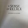 A Sense of Killala Image 4