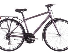 Raleigh Circa 2 Women's Hybrid Bike Bicylcle Titanium