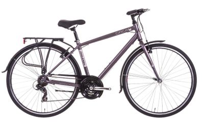Raleigh Circa 2 Women's Hybrid Bike Bicylcle Titanium