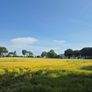 Wholecrop Image 2