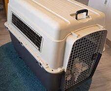 VOYAGER Transport Crate for Dogs