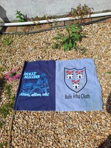 dublin flag