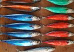 Fishing bait MACKEREL