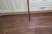 Walking stick