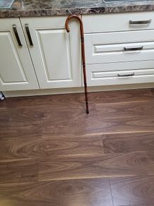 Walking stick