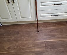 Walking stick