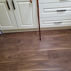 Walking stick