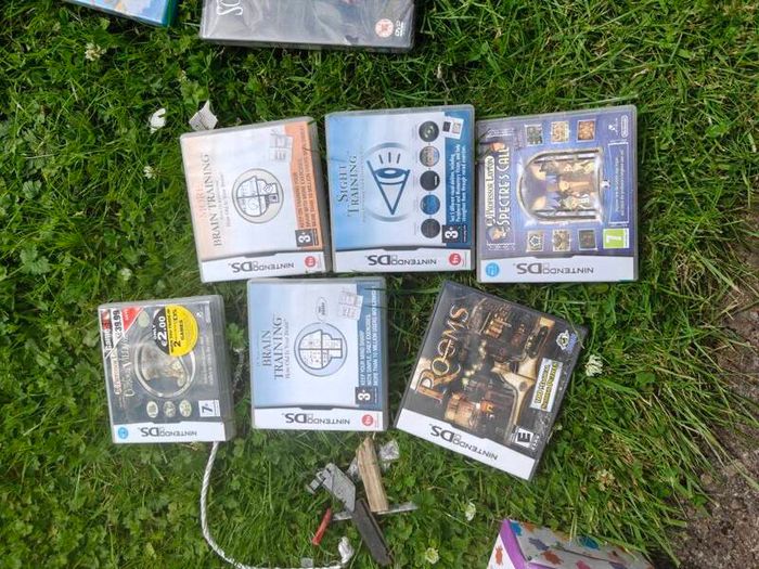 free Nintendo ds games