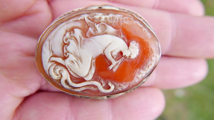 Vintage Most Rare 1890's Antique 14k Gold Shell Cameo Pin Brooch 4cm X 3cm