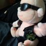 2   vintage                 old. teddy  bears Image 2