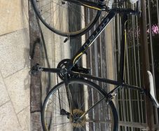 carrera zelos