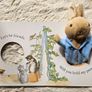 Peter Rabbit Let's Cuddle Big Puppet Play Book Image 4