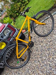 frog bike