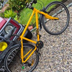 frog bike