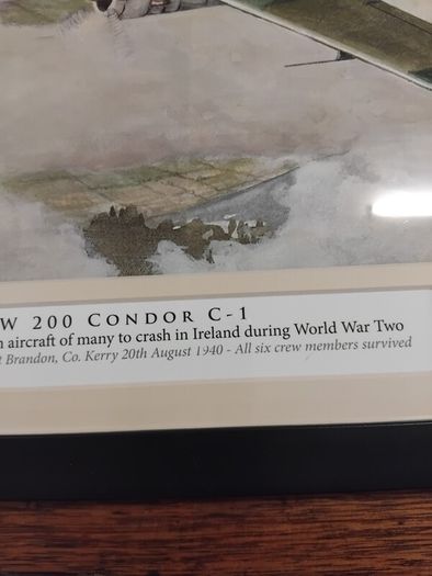 WW2 Plane Crashed in Kerry framed print