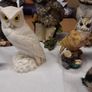 Owl collection Image 5