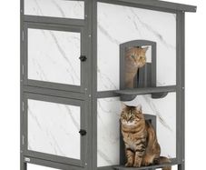 Outdoor cat house, wooden house for cats, multiple entrances, window, waterproof, 60 x 60 x 88 cm, White