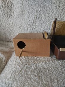 Bird nesting box and bath budgie