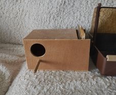 Bird nesting box and bath budgie