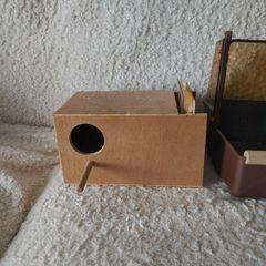 Bird nesting box and bath budgie