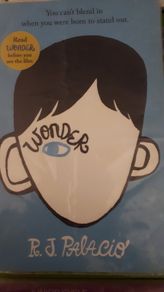 Wonder Novel Junior Cycle
