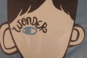 Wonder Novel Junior Cycle