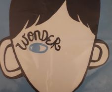 Wonder Novel Junior Cycle