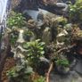fluval flex Image 7