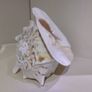 Sea Shell Image 2