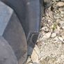 Goodyear tyre 480/80 R 26 Image 7
