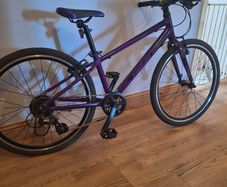 Bike GIANT ARX 20" purple