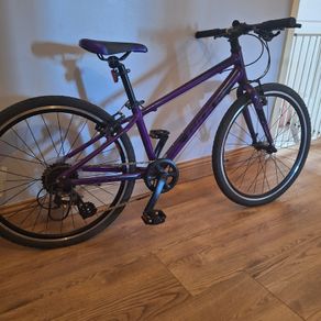 Bike GIANT ARX 20" purple