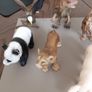 schleich animals Image 2