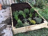 Salad planter