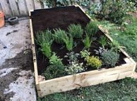 main image for ad Salad planter