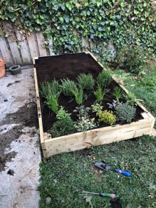 Salad planter