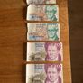 Irish Punt Image 4